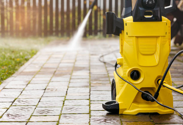 Best Driveway Pressure Washing  in Cambridge, MD